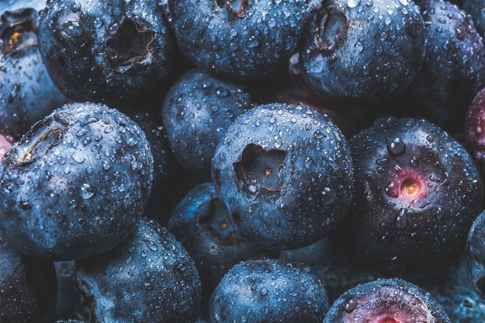 Ponthier HEIDELBEEREN PÜREE Frucht-Püree Heidelbeerenmark 6x 1KG