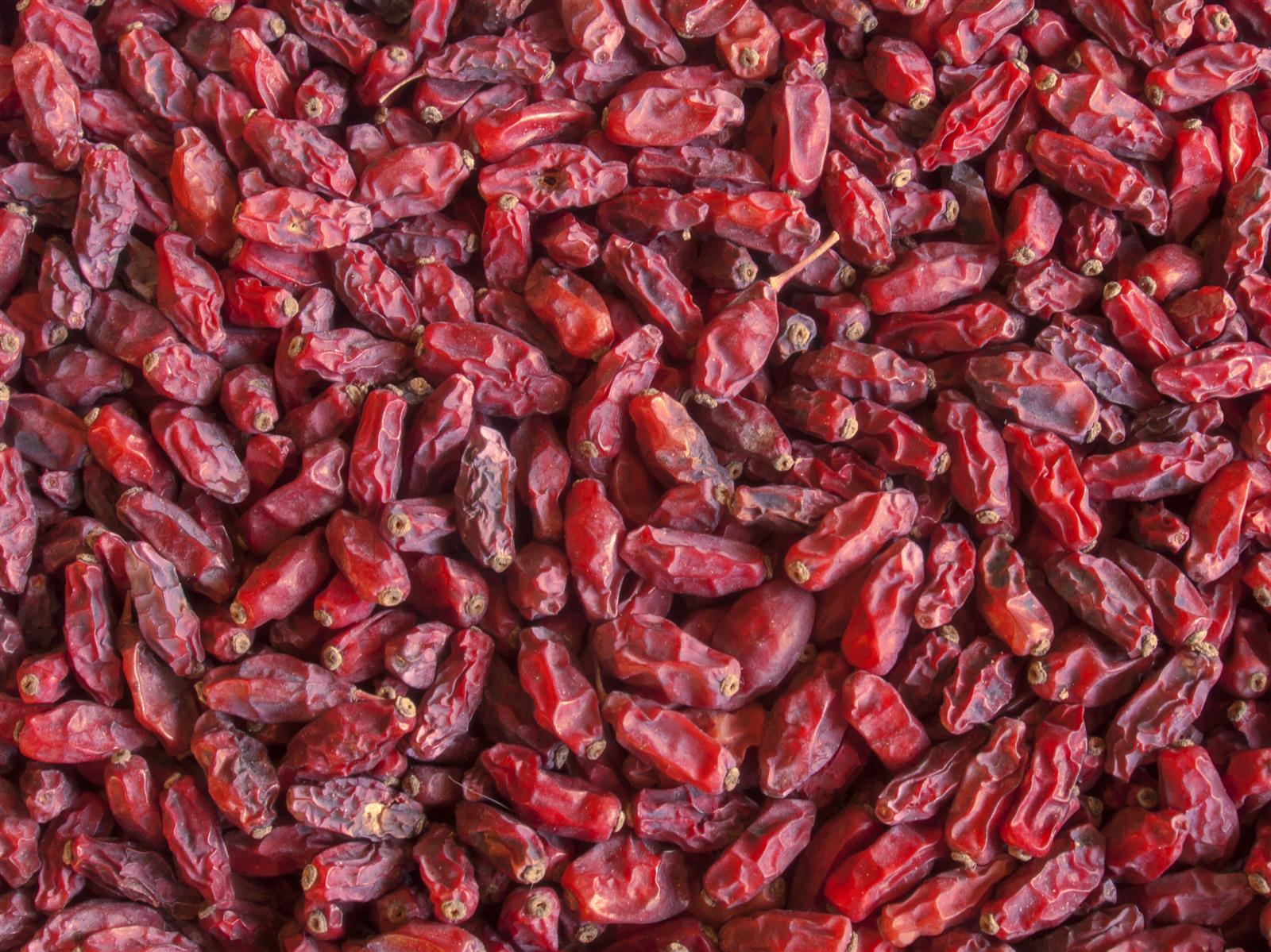 Hymor Berberitze getrocknet 5kg Trockenfrucht ohne Zusätze