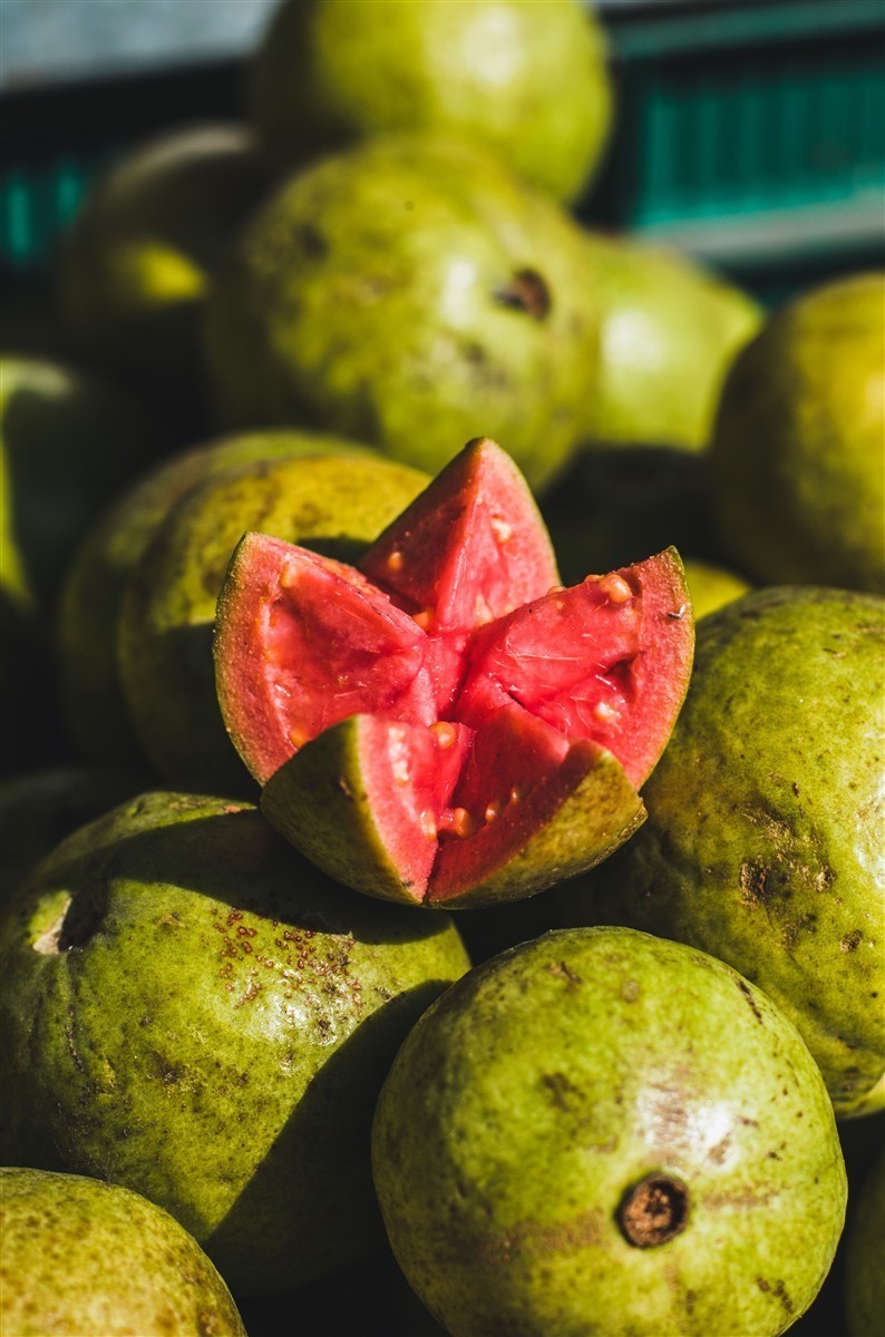 Ponthier GUAVE PÜREE Zitrus-Frucht-Püree Guavenmark 6x 1KG