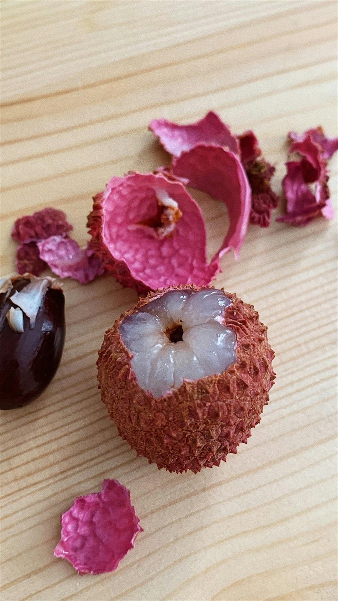 Ponthier LITSCHI PÜREE Lychee-Frucht-Püree Litschimark 6x 1KG