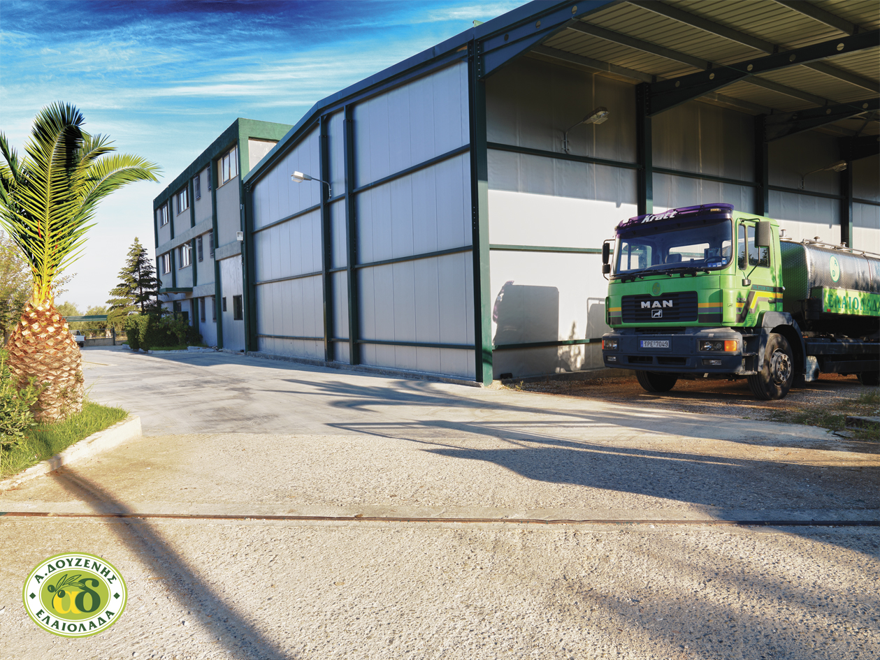 Theoni BIO Olivenöl 4x 3 Liter Kanister Griechenland extra vergine