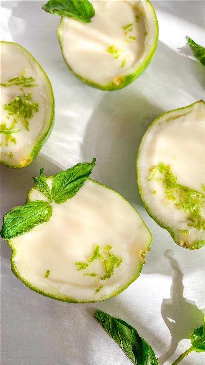 Ponthier LIMETTEN PÜREE Zitrus-Frucht-Püree Limettenmark 1KG