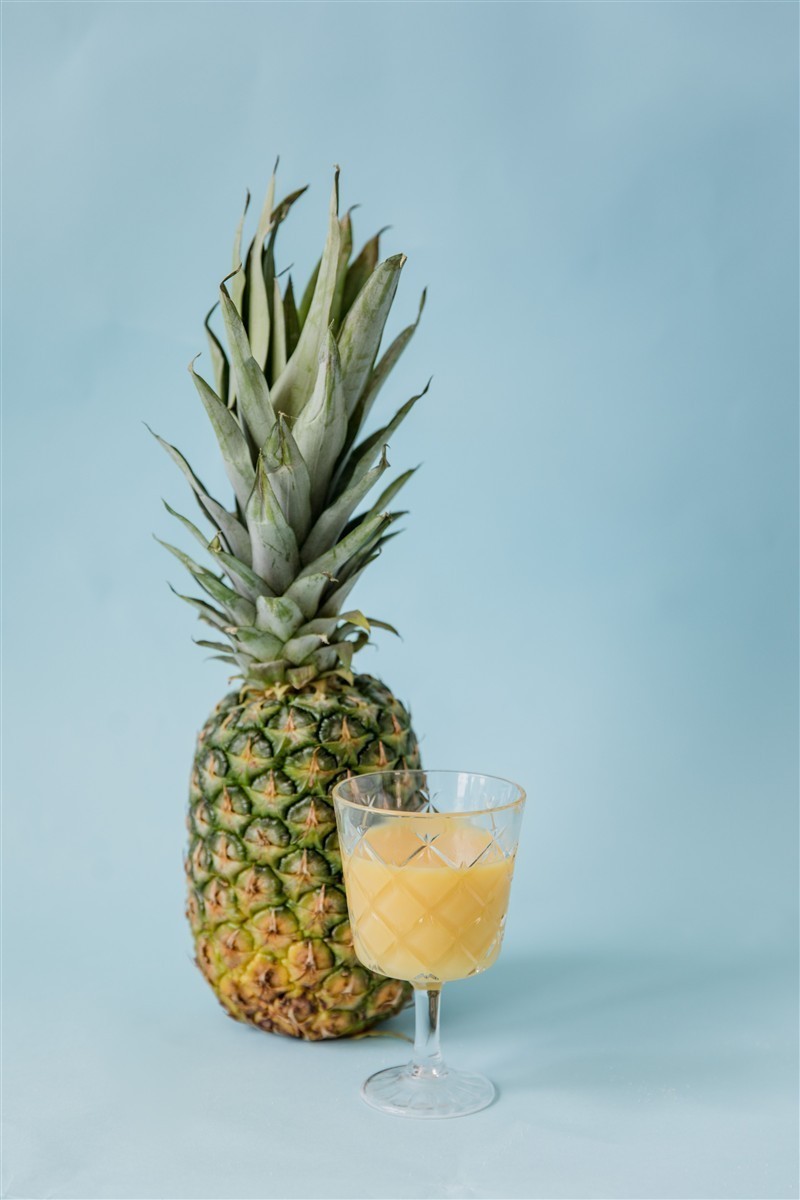 Ponthier ANANAS PÜREE Frucht-Püree Ananasmark 6x 1KG