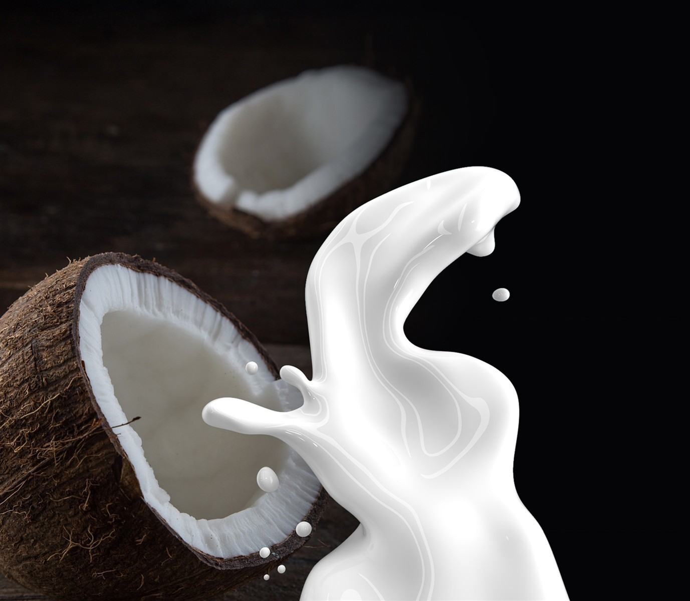Ponthier KOKOSNUSS PÜREE Nüsse-Püree Kokosnussmark 6x 1KG 