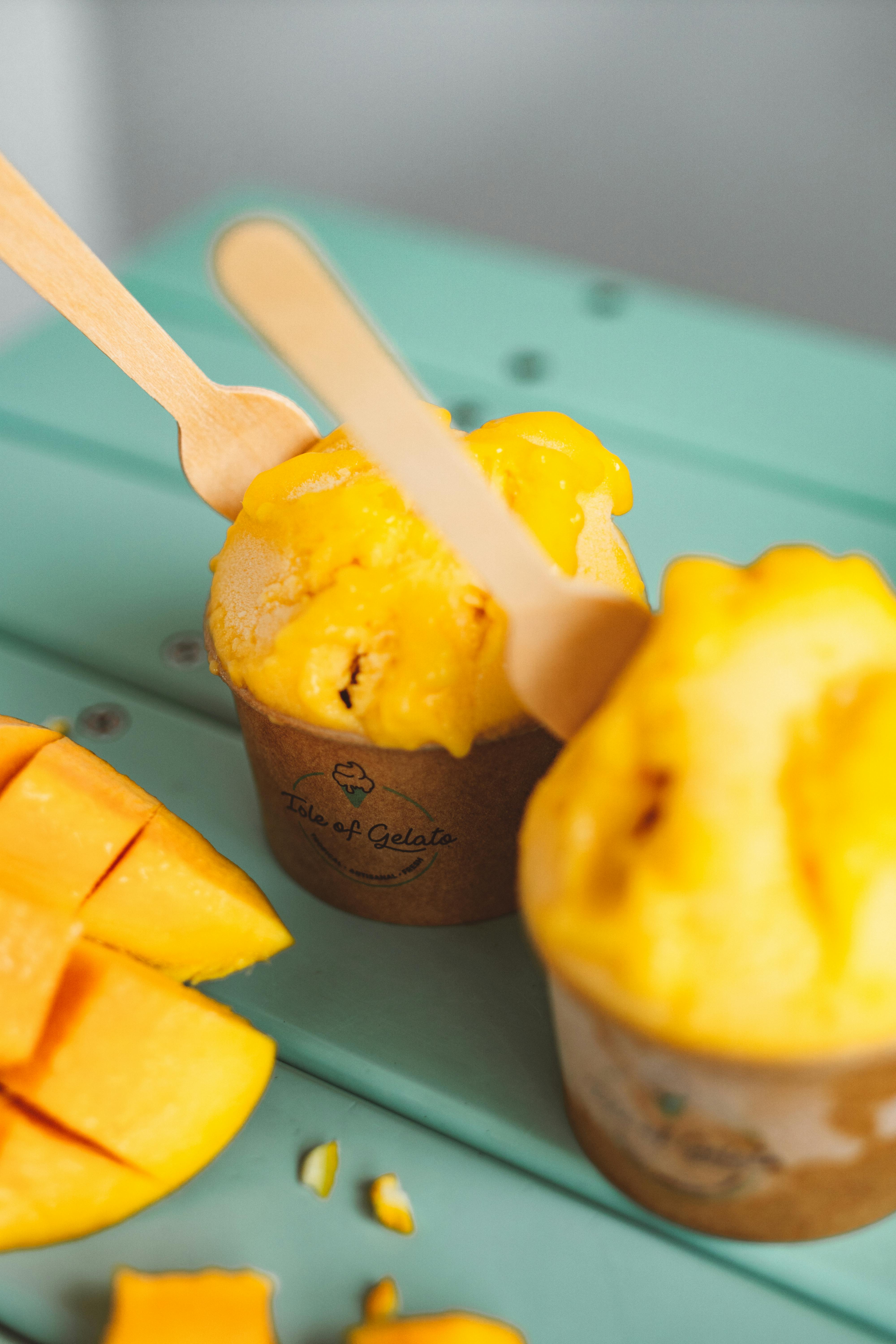 Ponthier MANGO PÜREE Exotische-Früchte-Püree Mangomark 6x 1KG