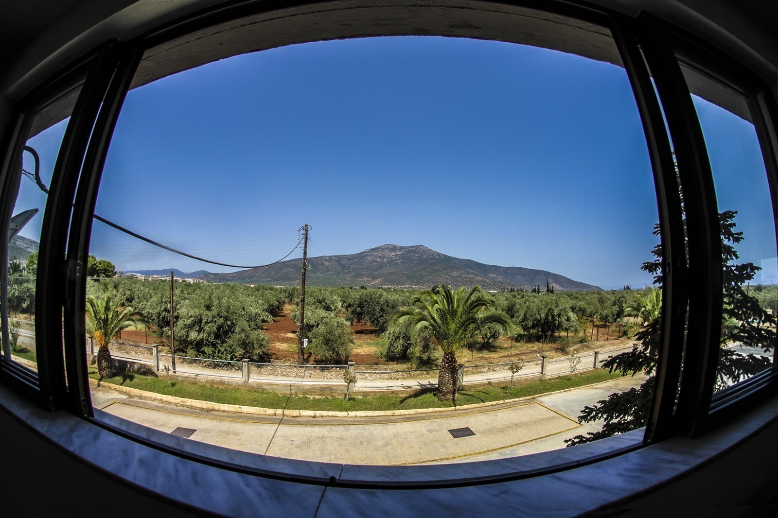 Theoni BIO Olivenöl 4x 3 Liter Kanister Griechenland extra vergine