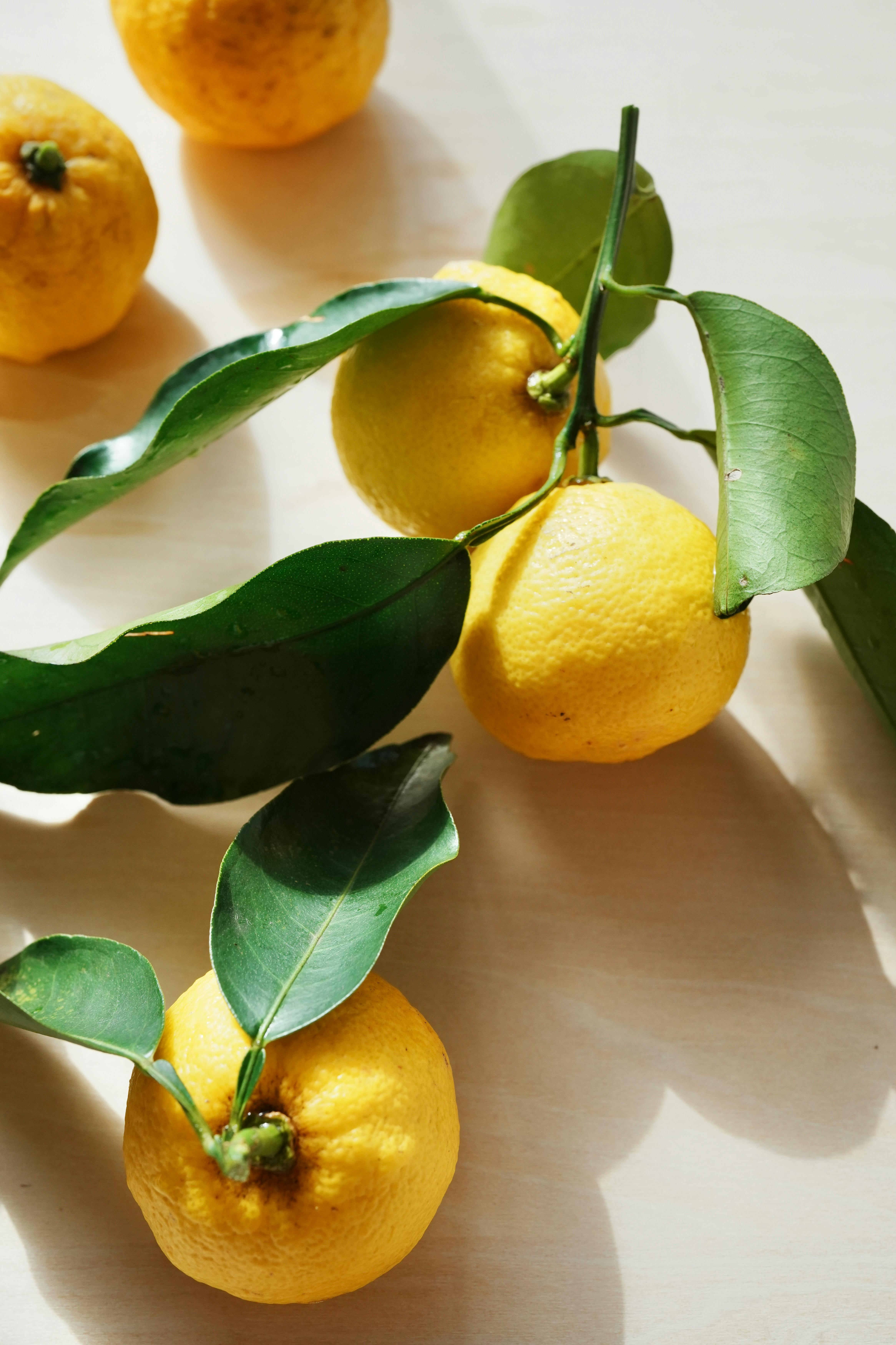 Ponthier YUZU PÜREE Japanische-Zitrus-Frucht-Püree Yuzumark 6x 1kg