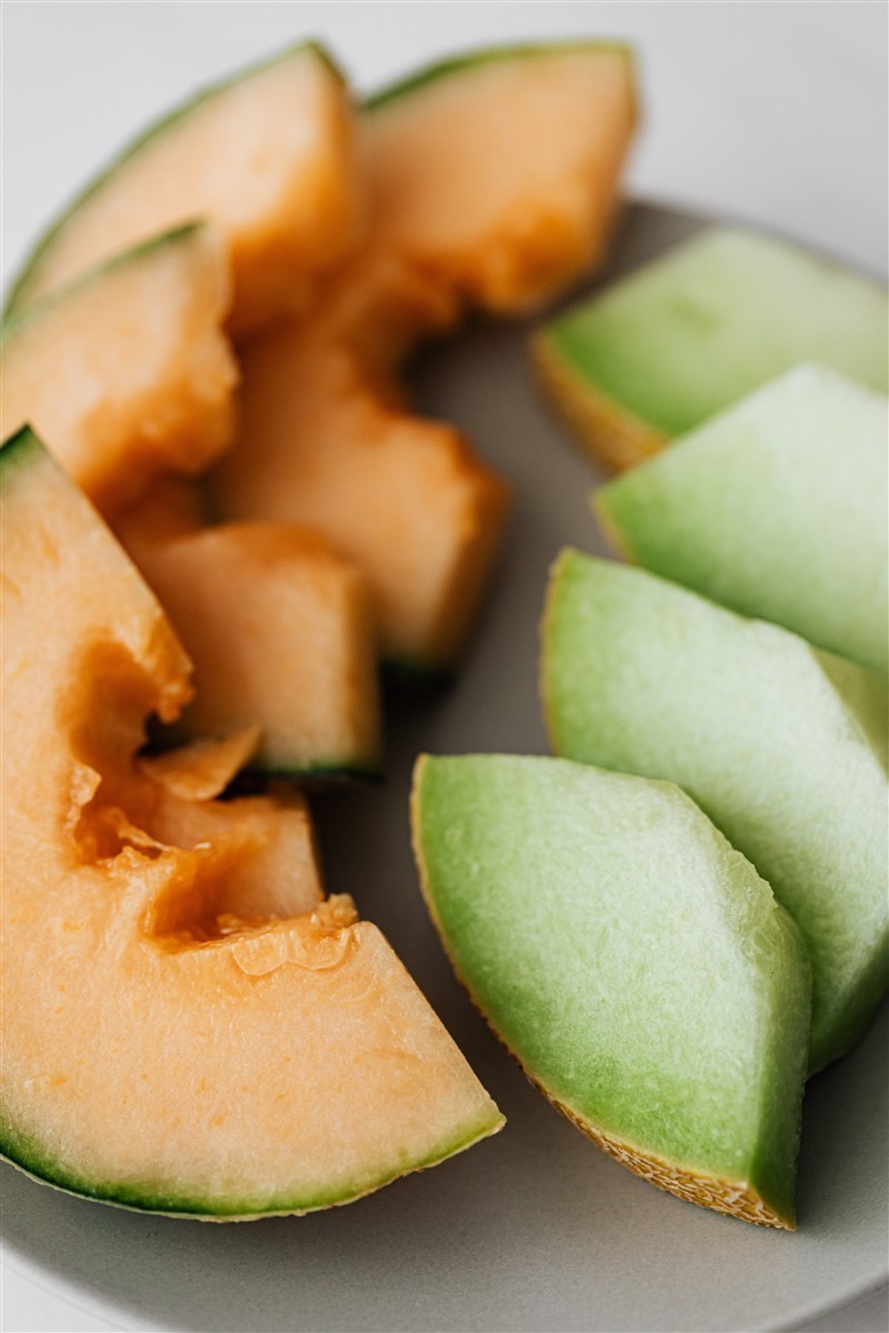 Ponthier MELONEN PÜREE Melon-du-Quercy-Frucht-Püree Melonenmark 1KG