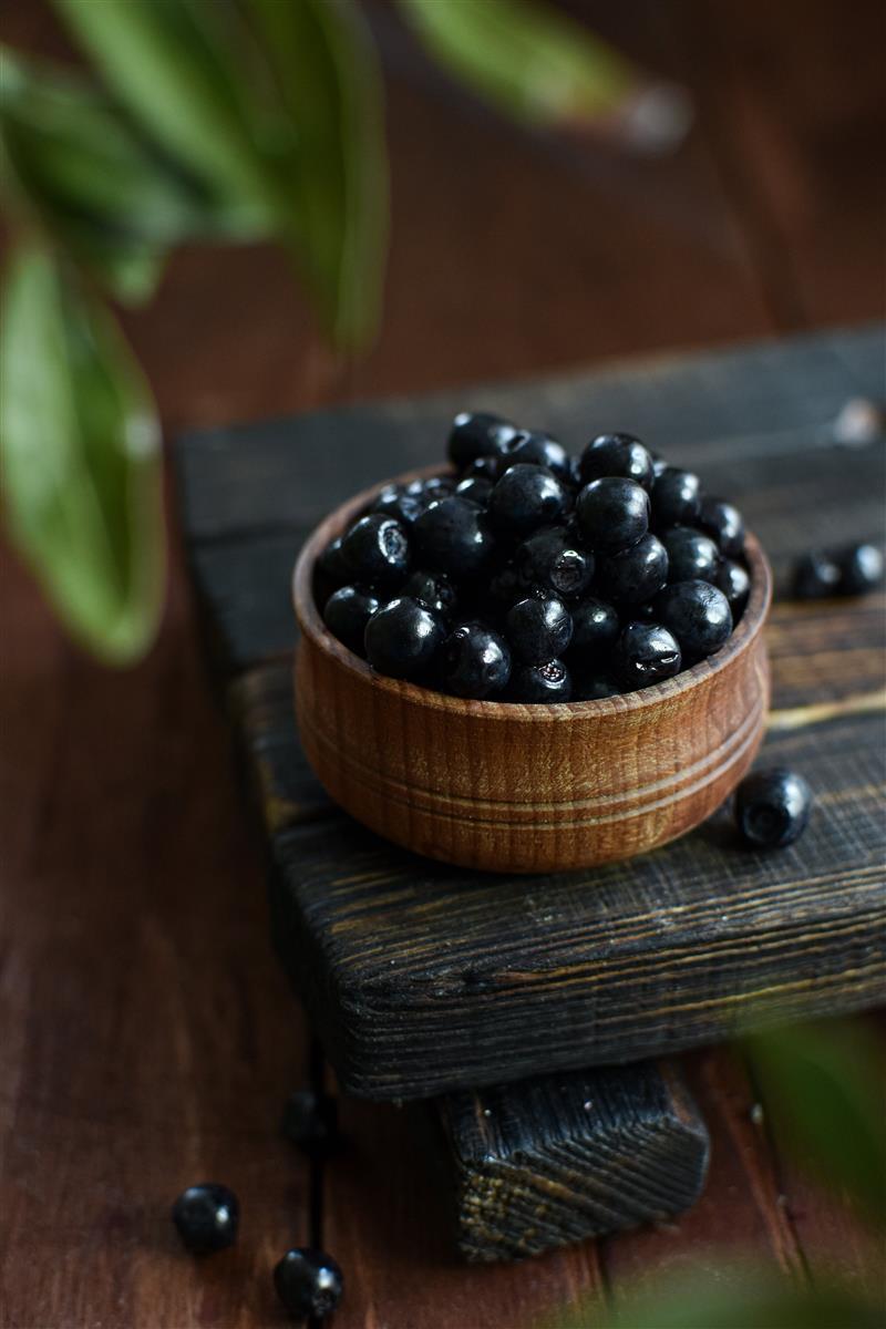 Leonce Blanc Schwarze-Johannisbeeren-Püree 8x 1kg Cassis-Frucht-Püree 