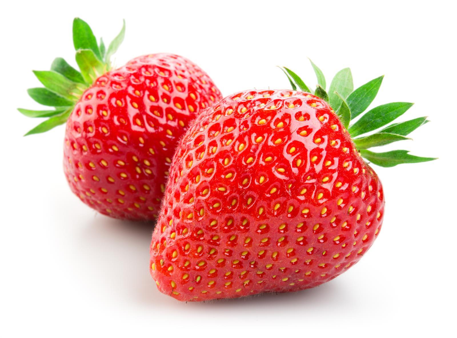 Marco Polo Dunst Erdbeeren 6x 980g Dose eingelegte Erdbeeren