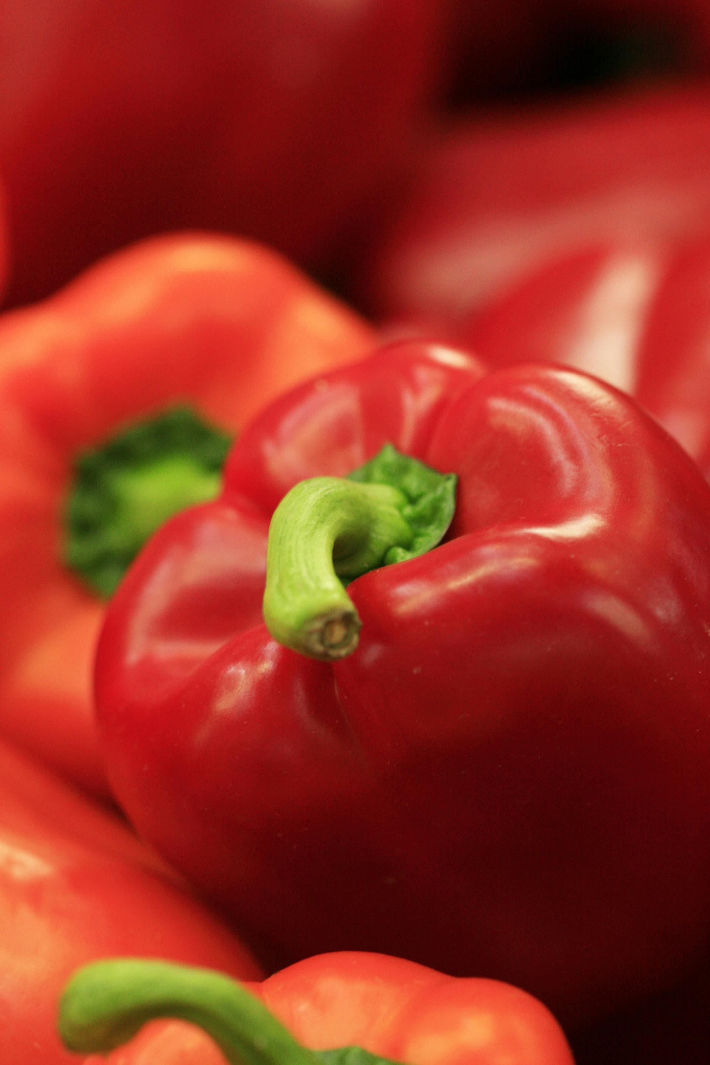 Ponthier PAPRIKA PÜREE ROT Gemüse-Püree Paprikamark 6x 1KG