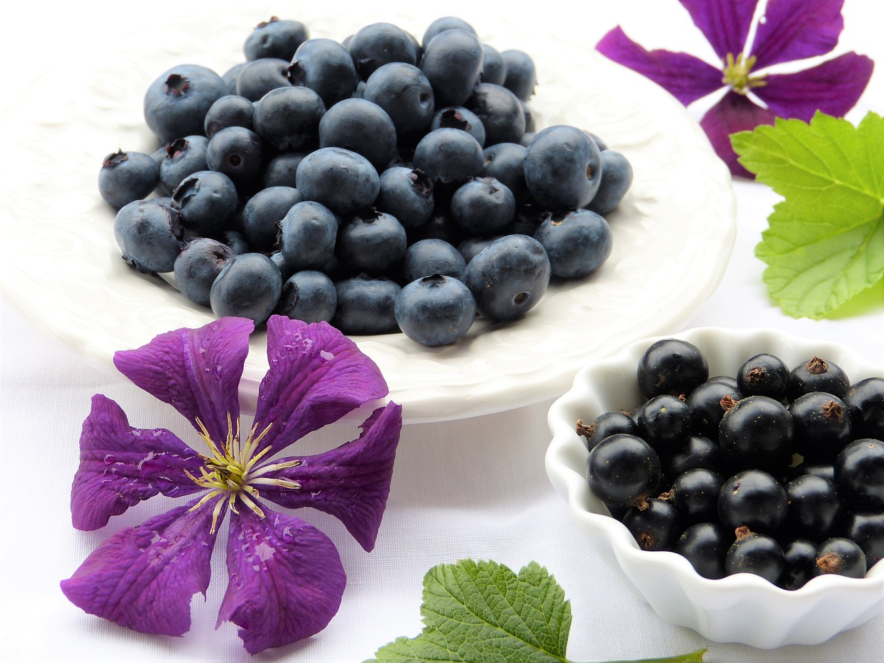 Leonce Blanc Schwarze-Johannisbeeren-Püree 8x 1kg Cassis-Frucht-Püree 